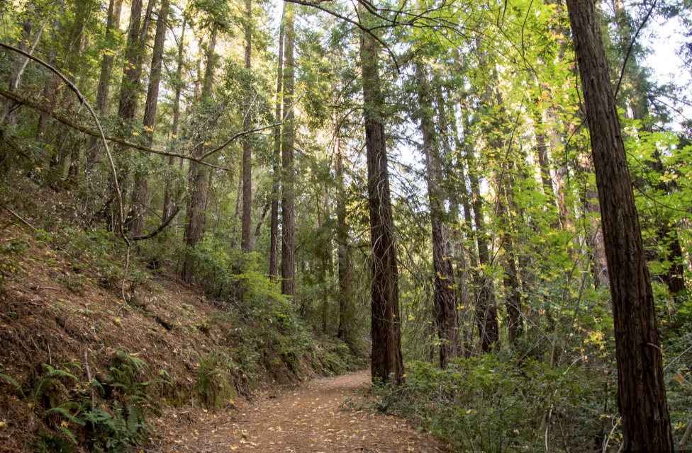 Bothe Napa Valley trail.png