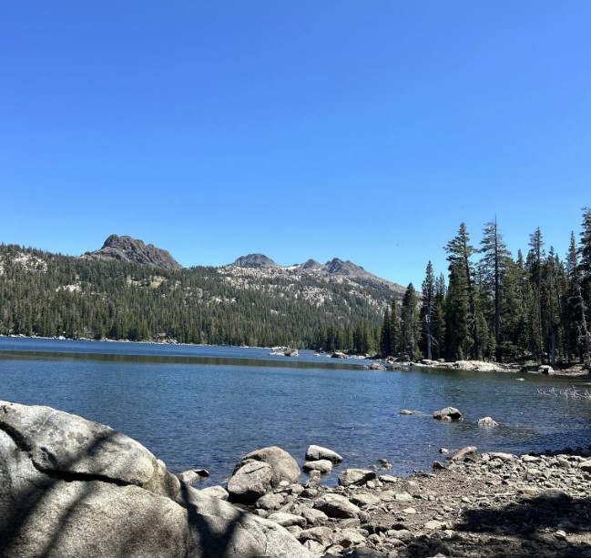 Screenshot 2024-08-22 165235.jpg